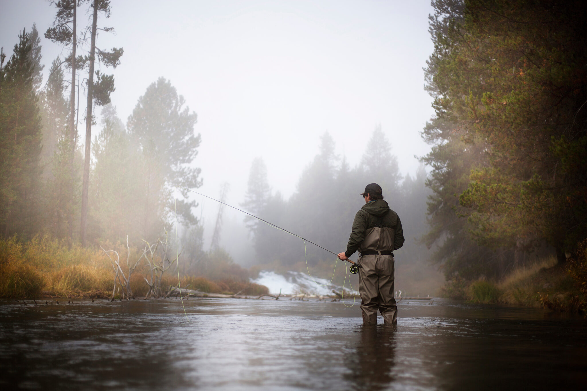 Rear View Of Hiker Fishing In Lake At Forest During Foggy Weather Rear View Of Hiker Fishing In Lake At Forest During Foggy Weather